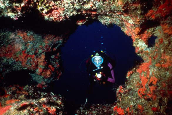 Diving