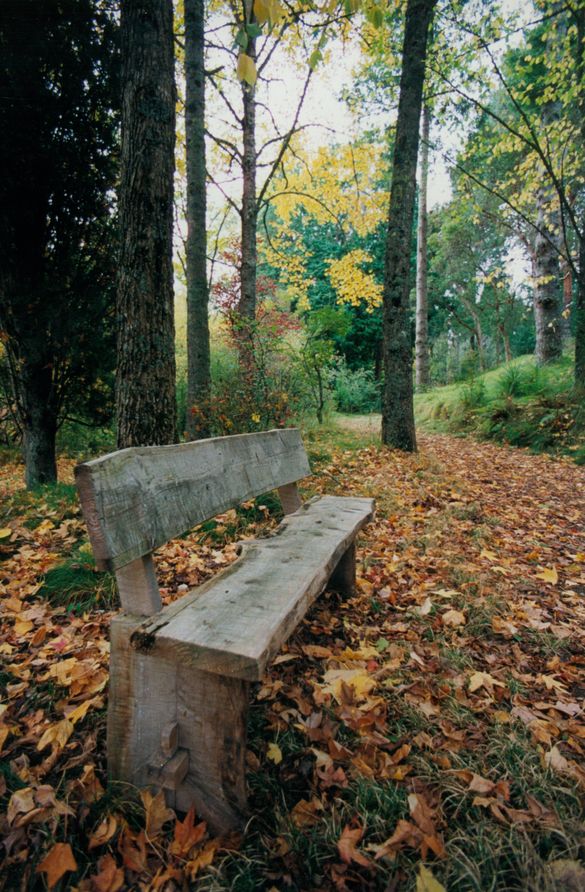 Autumn Seat