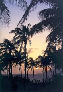 Sunset in St Kitts