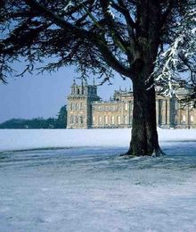 Palace In Snow