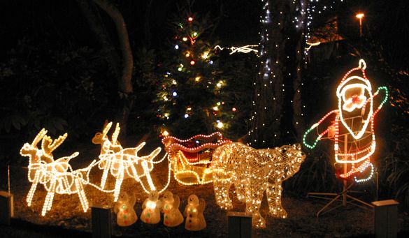 Zoo Xmas Lights