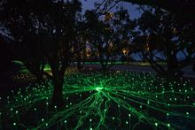 Bruce Munro's Field of Light in Albany