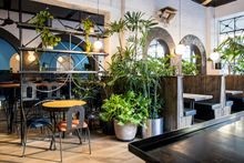 Panama Social, Northbridge