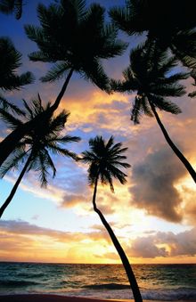 Barbados