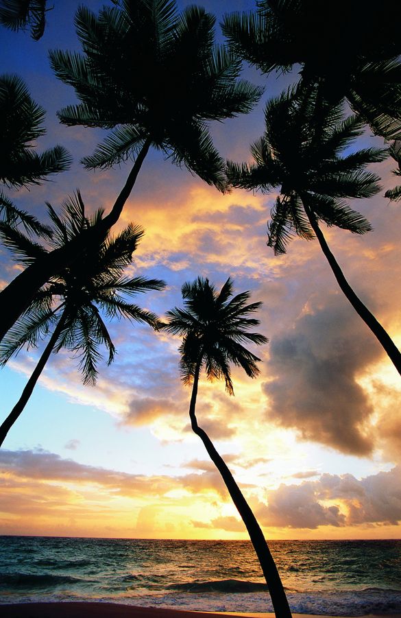Barbados