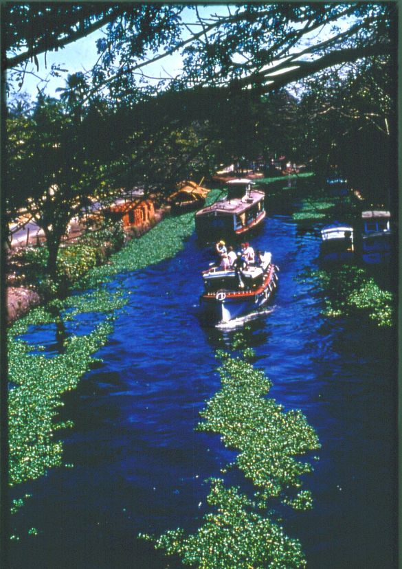 Backwater Kerela
