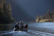Entering one of the Great Bear Rainforest's river estuaries.