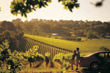Vineyard Hills