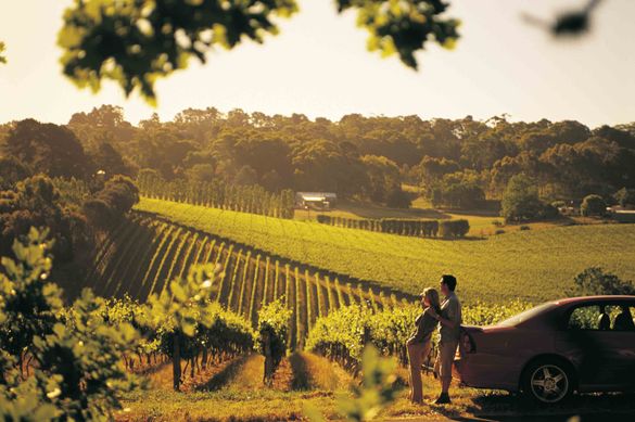Vineyard Hills