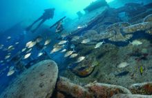 Spiegel Wreck Diving Keys