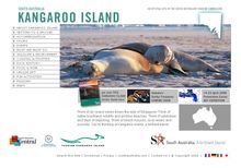www.tourkangarooisland.com.au Home Page