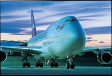 Virgin Plane