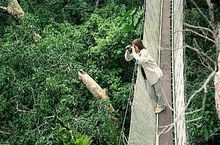 Birdwatching Observatory