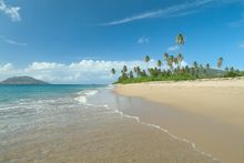 Montpelier in Nevis