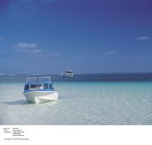 Farm beach on the Eyre Peninsula