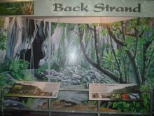 Mural of the limestone cliffs at the Nature Center 