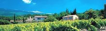 Eco-Friendly Holidays With Headwater. House. Field