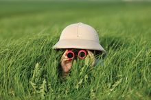 Kid binoculars - InterContinental Hotels Group (IHG) and Merlin Entertainment are pleased to announce the opening of a new Holid