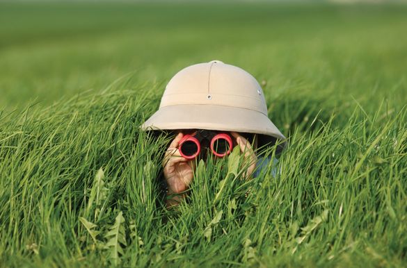 Kid binoculars - InterContinental Hotels Group (IHG) and Merlin Entertainment are pleased to announce the opening of a new Holid