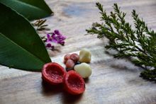 Sample the native bush tucker-inspired menu at Seabelle Restaurant
