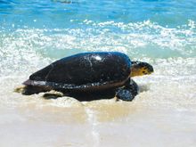 Island Hopping In The Seychelles