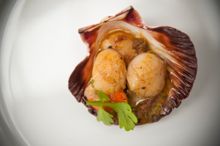 Scallops