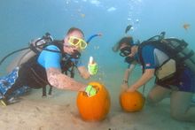Divers scooping out their pumpkin to prepare for their creative carving