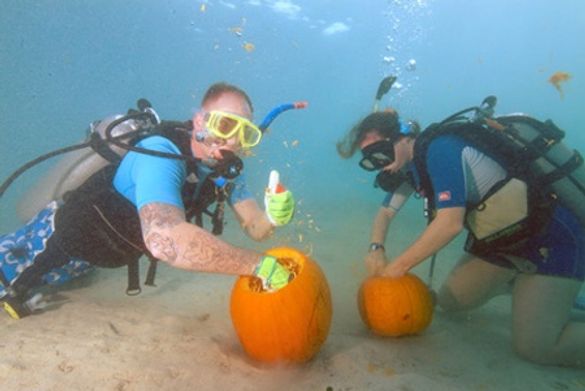 Divers scooping out their pumpkin to prepare for their creative carving