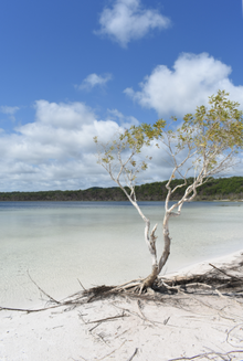 Lake Birrabeen