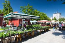 Graz Lendplatz Market 