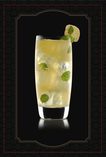 DDC Ginger Mojito