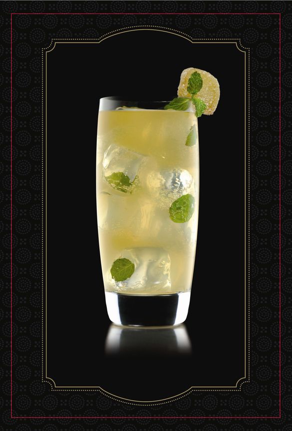 DDC Ginger Mojito