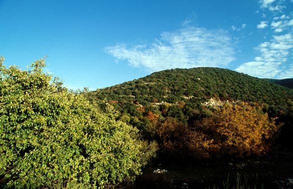 Sustainable Tourism For Israel In 2009 