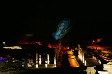 Shean Nights 