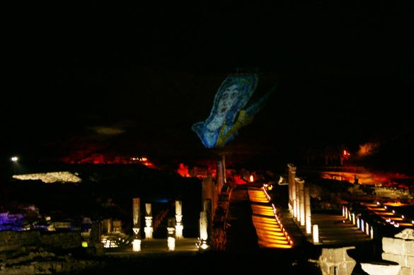 Shean Nights 