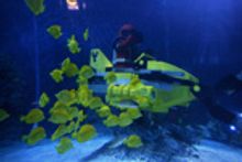 Sea Aquarium