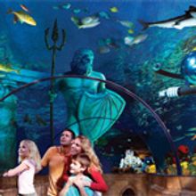 Legoland Sea Aquarium