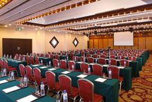 Meeting rooms are provided for up to three half-days, including wireless internet, LCD projector and microphones