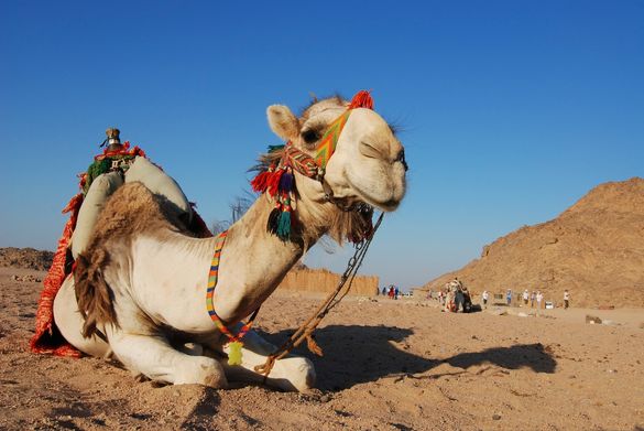 Any bankers made redundant in the next few months will be able to claim a discounted holiday and re-training session, courtesy o