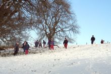 snow