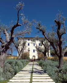 Once the jewel in Duke Leopold�s Tuscan empire, L�Andana offers numerous opportunities for exclusive events