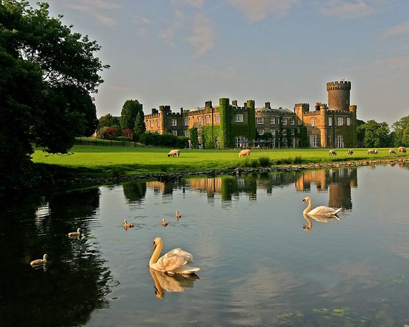Swinton Park with swans