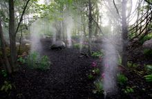 Mist And Fog 
