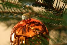 A 5 metre traditional decorated fir tree will dominate the historic Stone Hall 