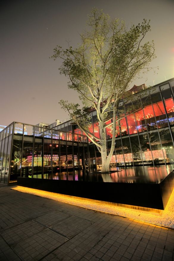 The Shiro Matsu Complex � inspired by the central White Pine Tree