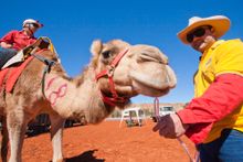 Every day is hump day in the Apex Camel Cup 