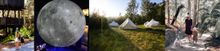 Pictured: Australian National Botanic Gardens, Questacon, Tidbinbilla, National Zoo & Aquarium