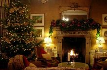 Last Minute Christmas And New Year Availability