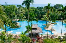 Swimming Pool Landscape