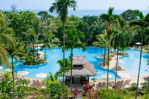 Swimming Pool Landscape
